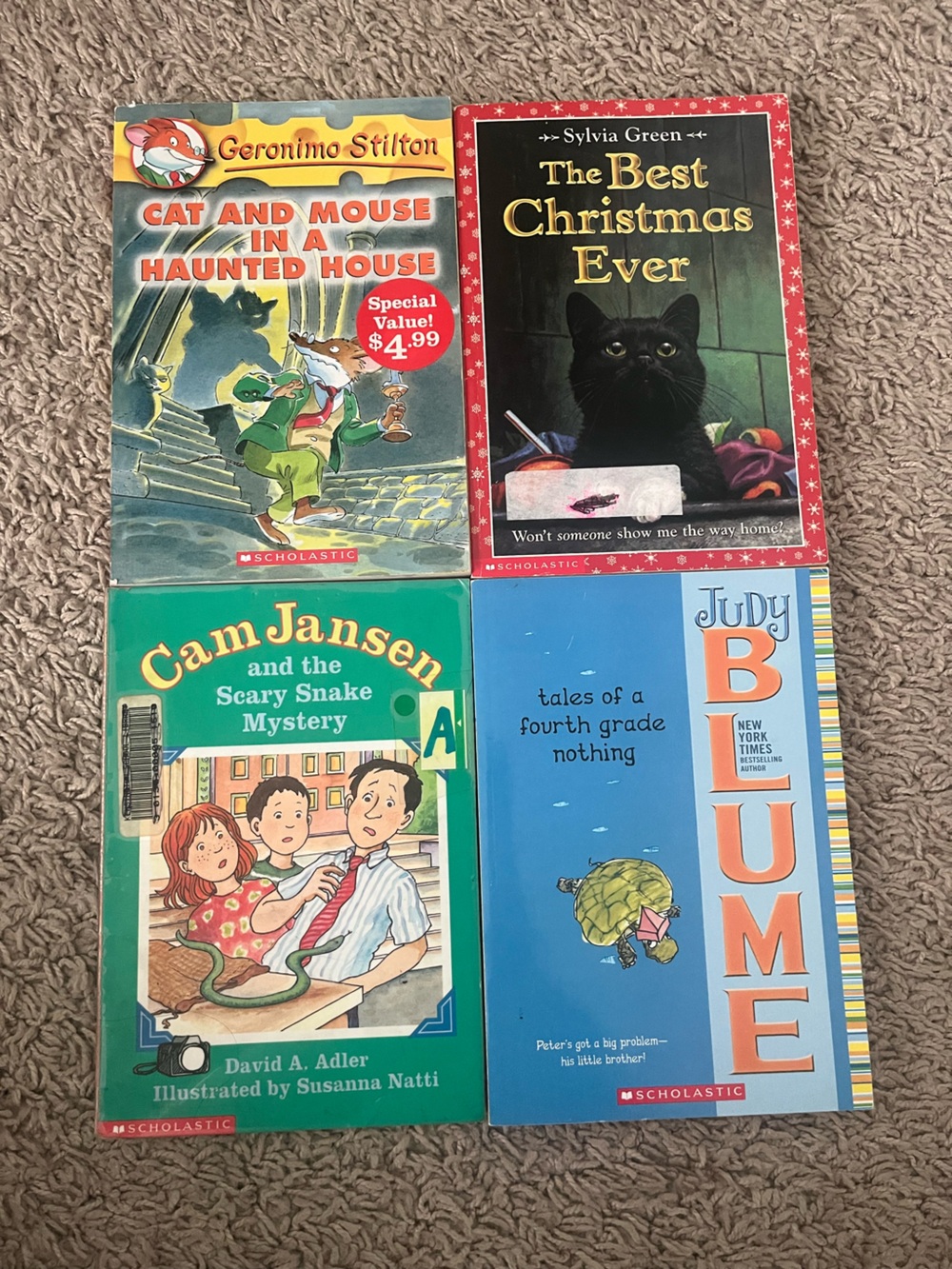 Scholastic Children's Book bundle